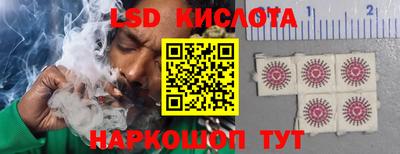 крисы Партизанск