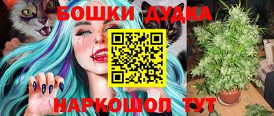 крисы Партизанск