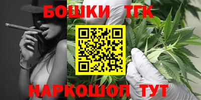 крисы Партизанск