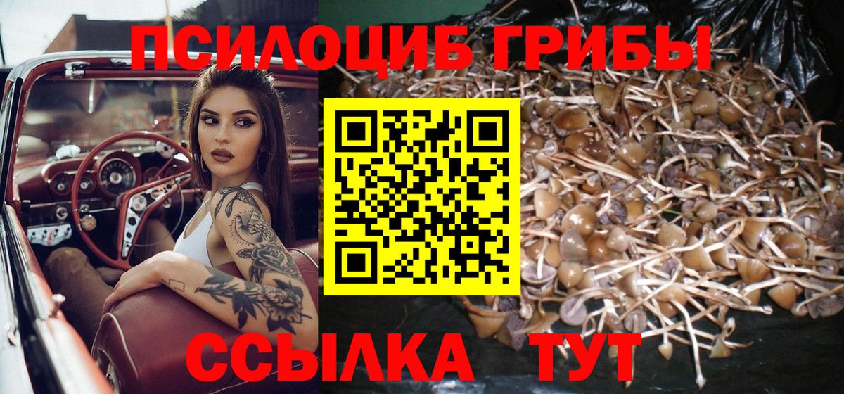 Псилоцибиновые грибы Magic Shrooms Сочи