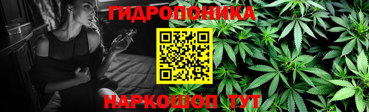Каннабис SATIVA & INDICA Сочи